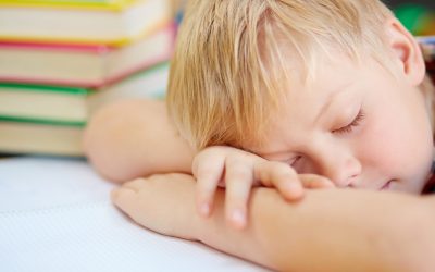 A short nap improves learning.