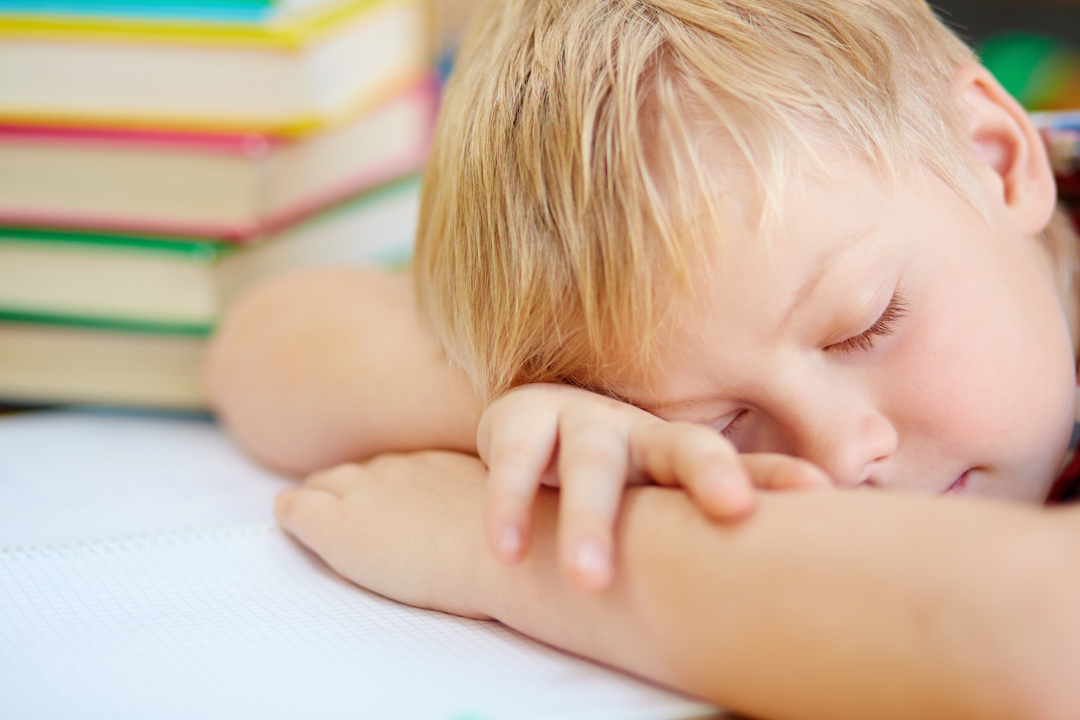 Tired little schoolboy taking nap